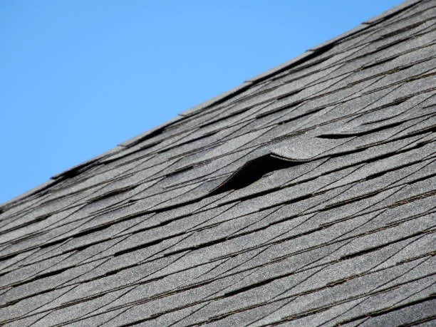 shingle curling causing roof problems in Georgia homes